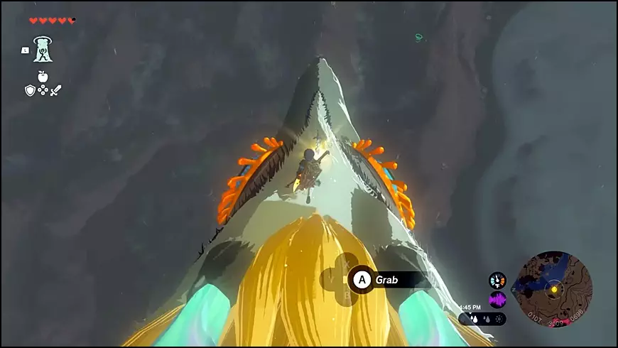 Prompt to grab the master sword on the Light Dragon's head in the legend of zelda: tears of the kingdom (totk)