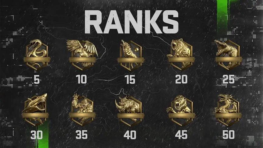 Call of Duty Modern Warfare 2 Ranked Play Ranking System Symbols