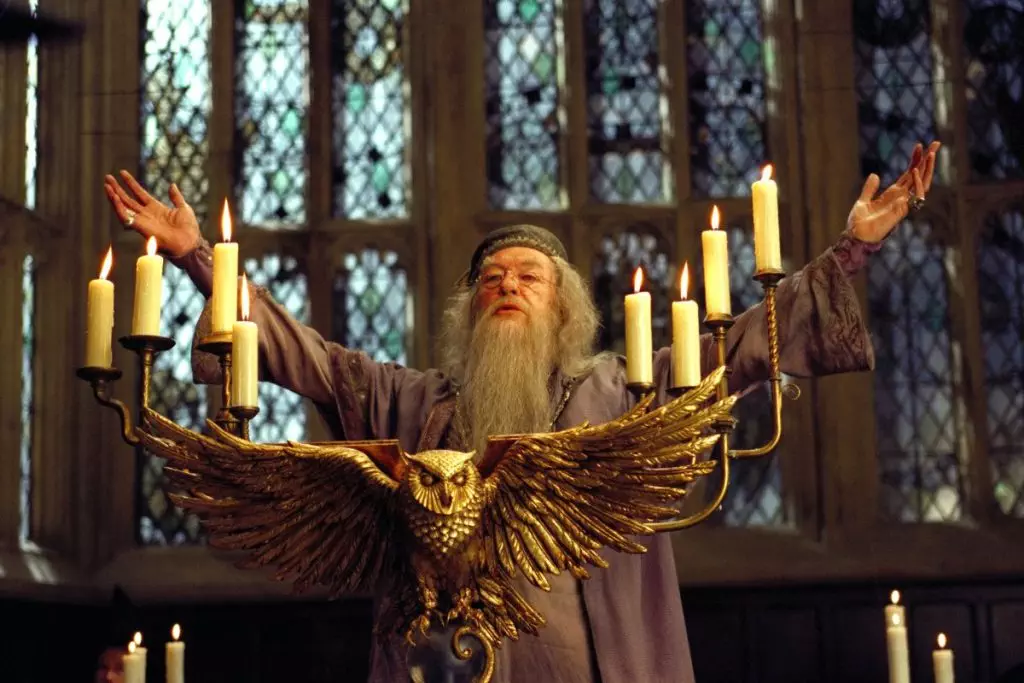 Professor Dumbledore from Harry Potter
