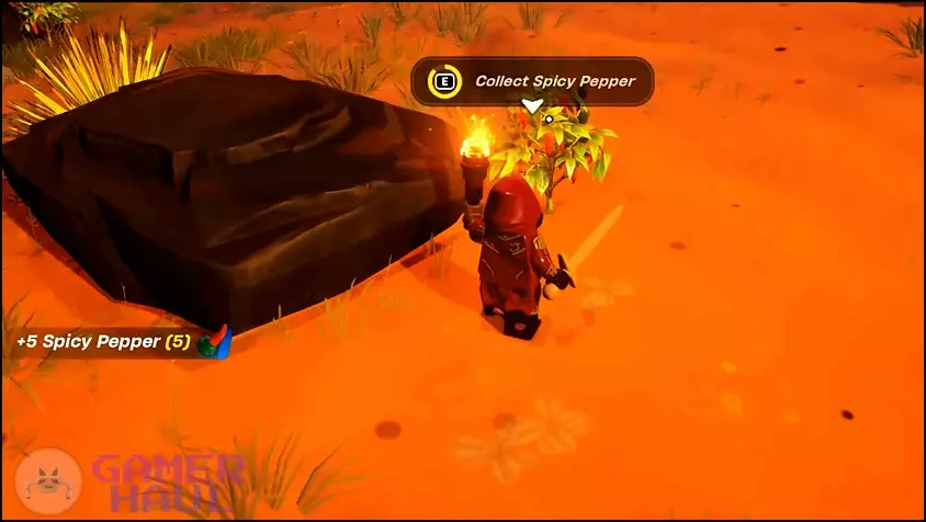 Player character collecting Spicy Pepper from the desert in LEGO Fortnite. 
